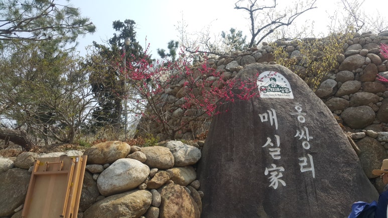 매화한의원 이미지
