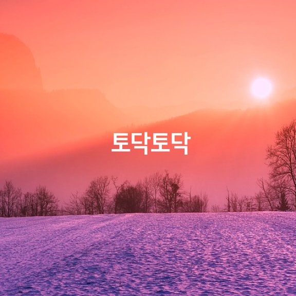 상록수 이미지