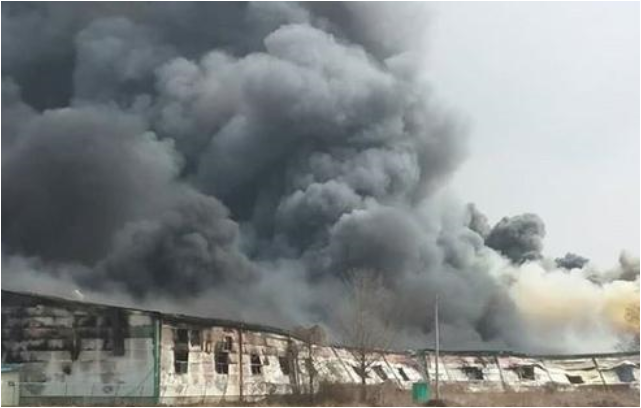 대양물류 이미지