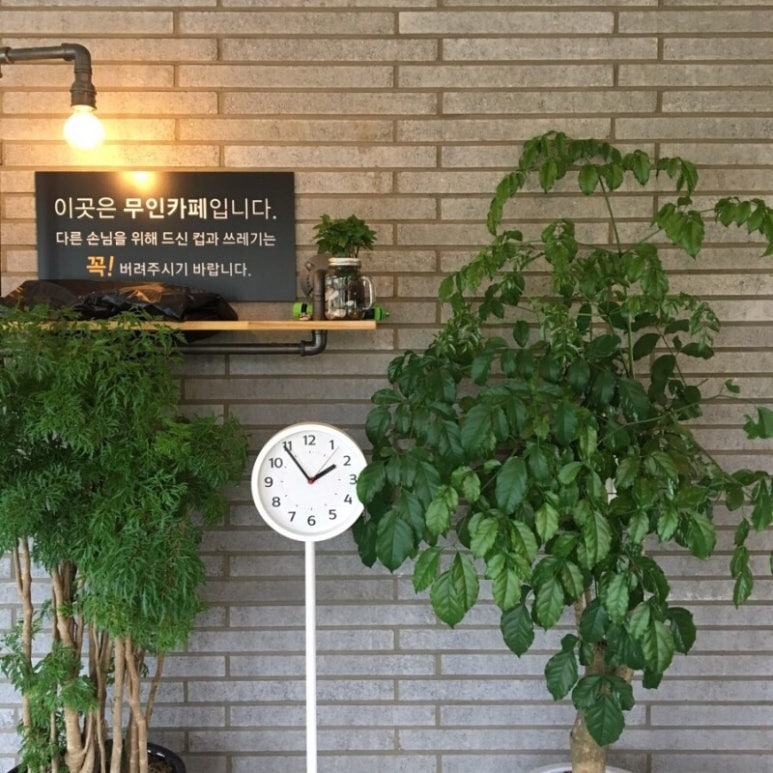 황금손가락 이미지