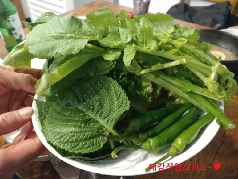 소담막창 이미지