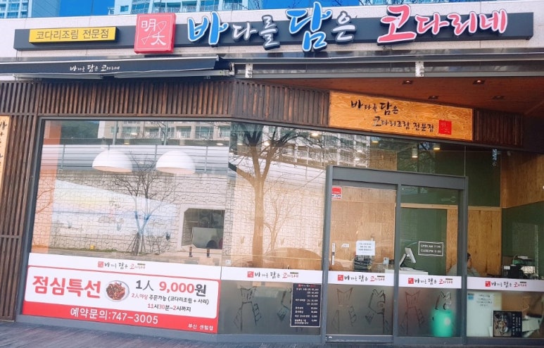 바담코다리 이미지