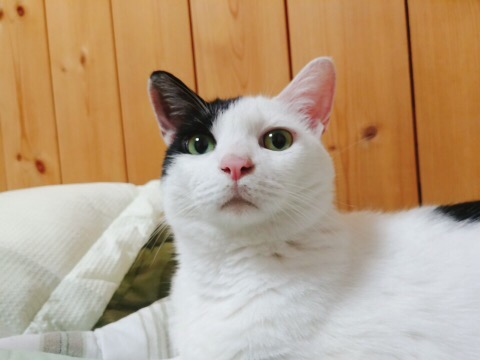 Mr.아재 이미지