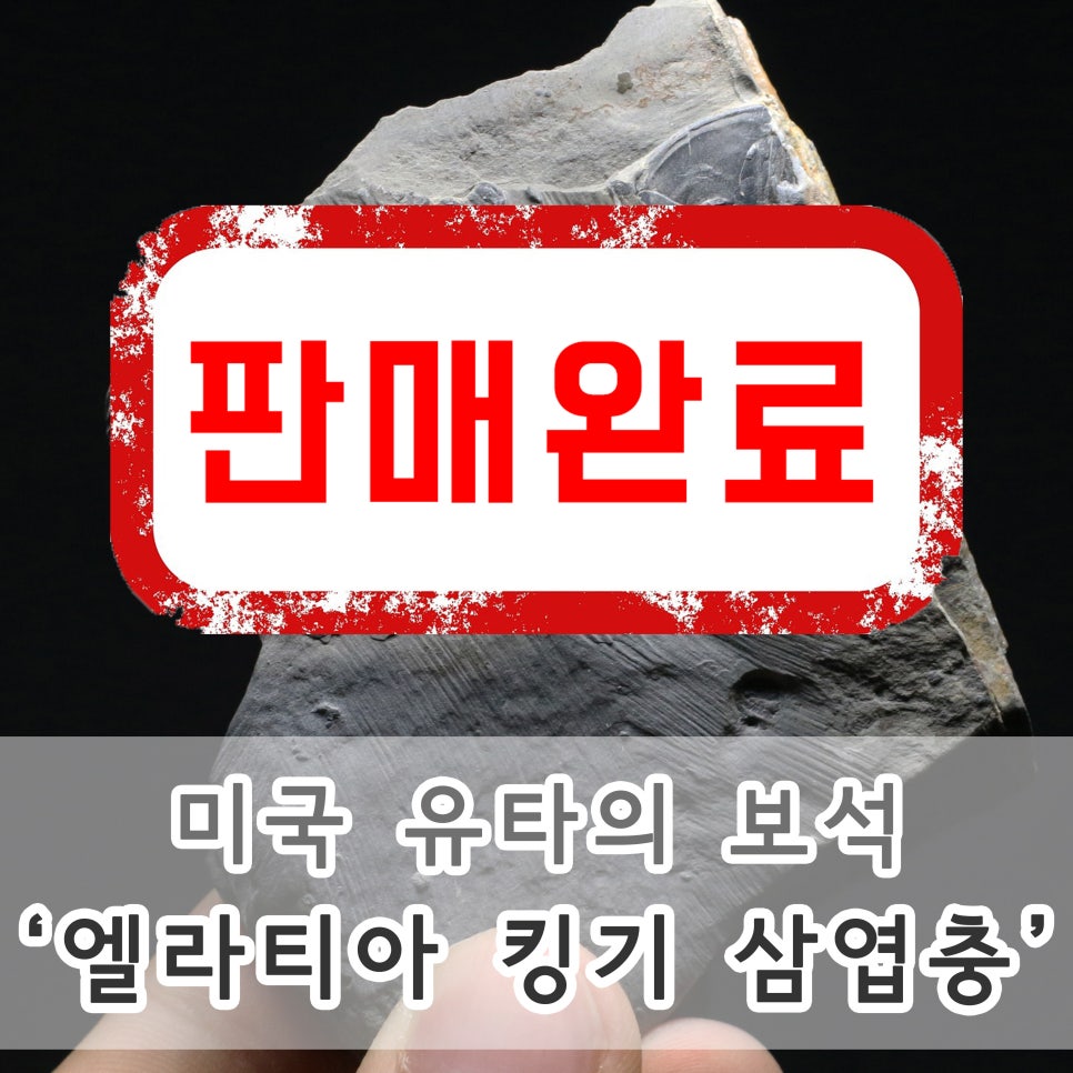 피스쿠스 이미지