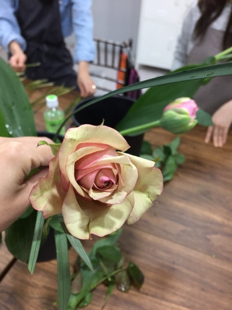 그린포장 이미지