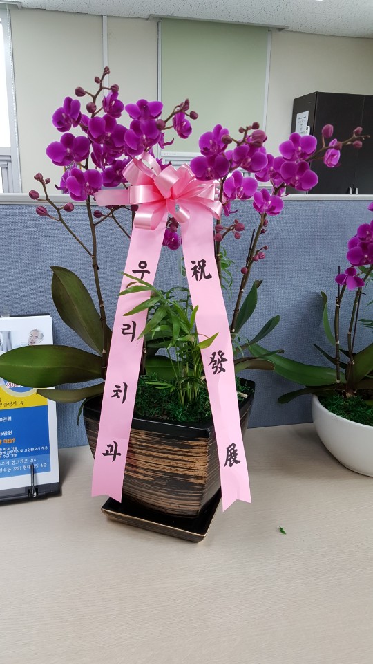동신요양보호사교육원 이미지