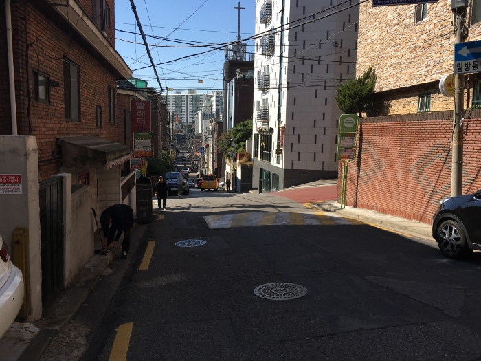 초록마을서울 이미지