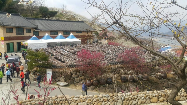 매화한의원 이미지