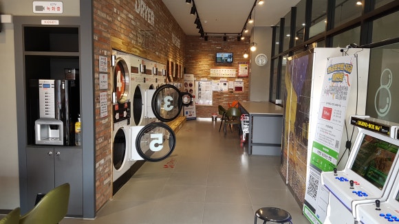 워시테리아전주 이미지