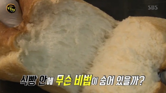 식빵의하루 이미지