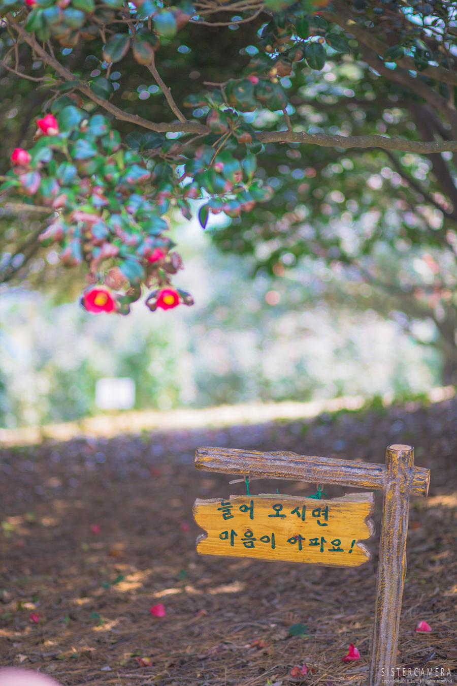 느린거름 이미지