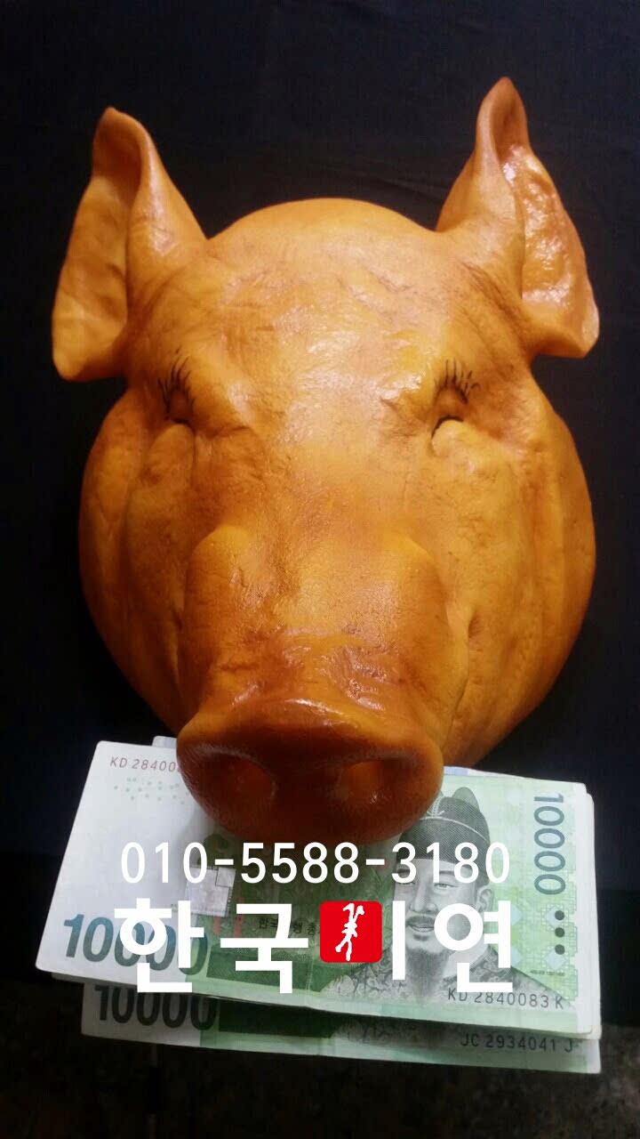 돼지카센터 이미지