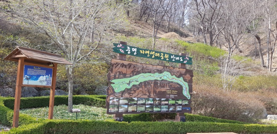 중명칼국수 이미지