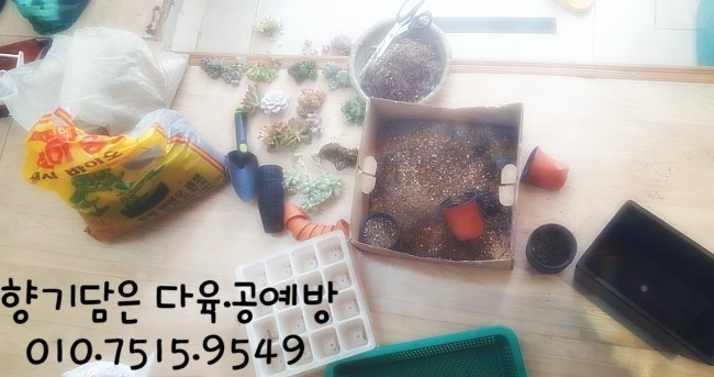 봄다육아트 이미지