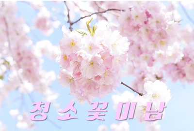 (주)봄날엔청소 이미지