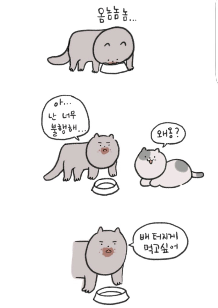영동족발양재 이미지