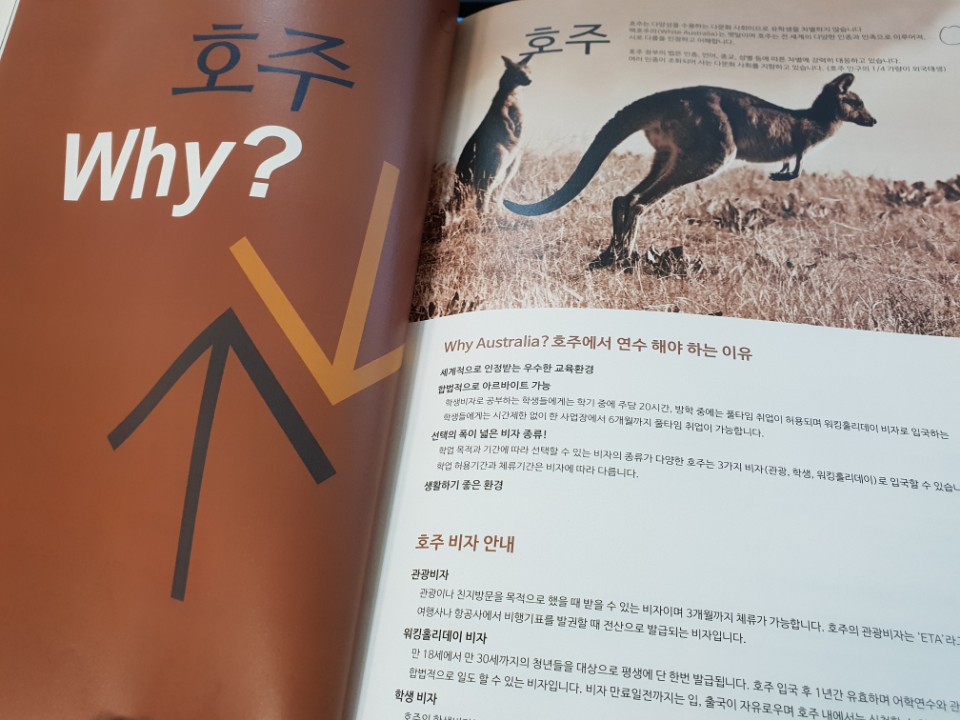 해외교육진흥원 이미지