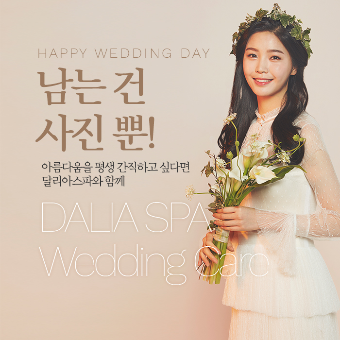달리아 이미지