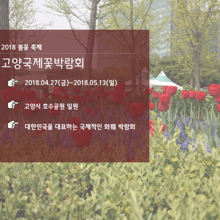 란플라워화훼 이미지