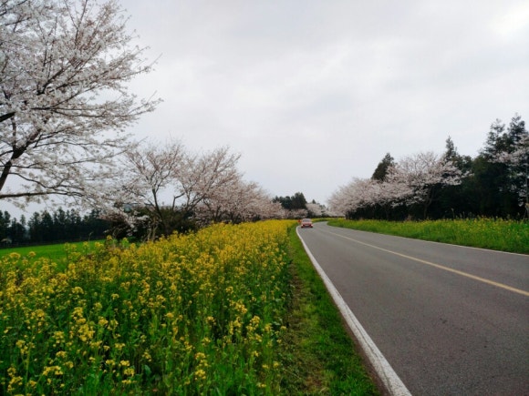 (주)명송 이미지