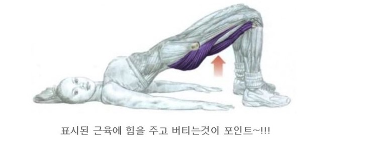 브릿지 이미지