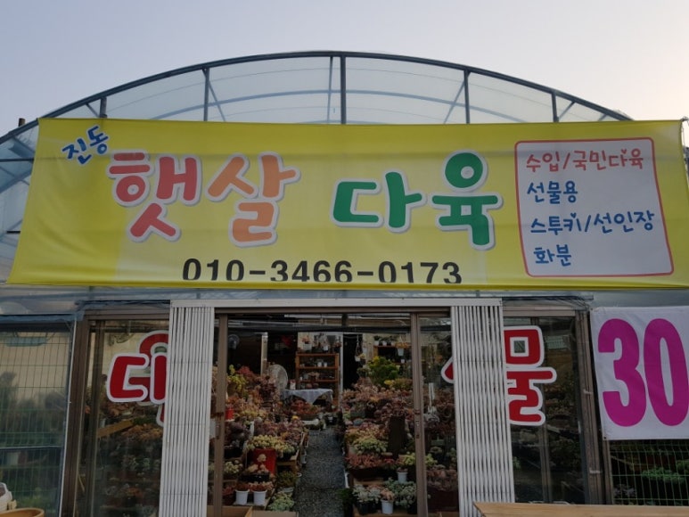 진동다육 이미지