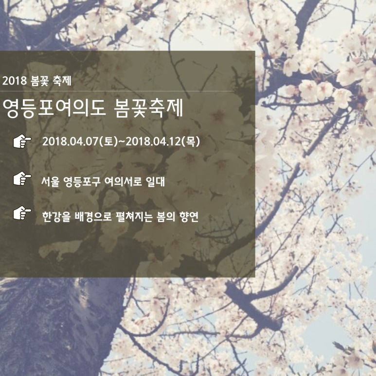 란플라워화훼 이미지