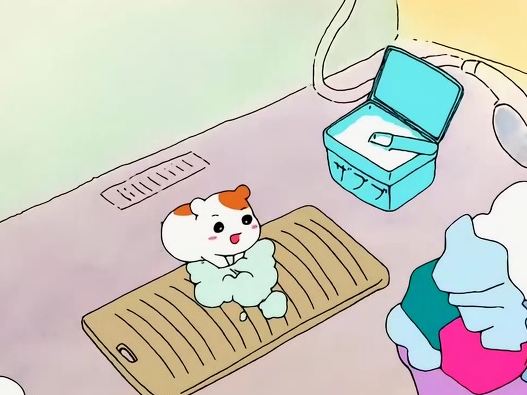 코히 이미지