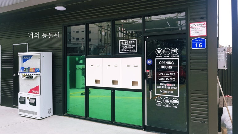 서산셀세모 이미지