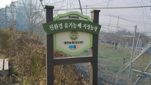 배가유기 이미지