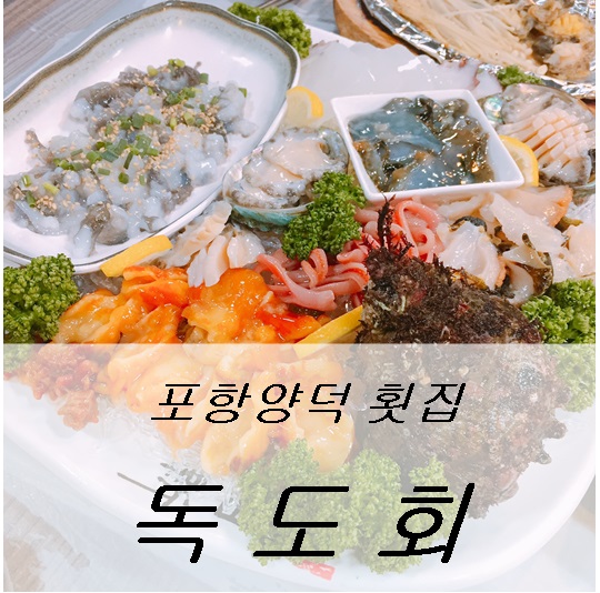 독도회 이미지