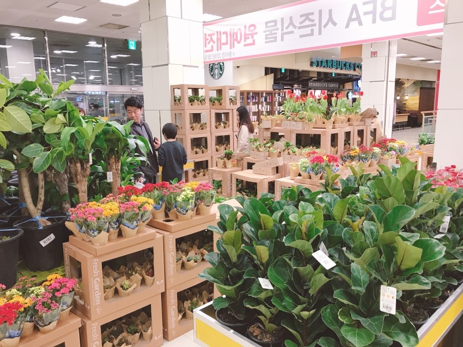 O.Kmart 이미지