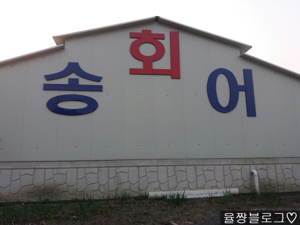 금빛송어횟집 이미지