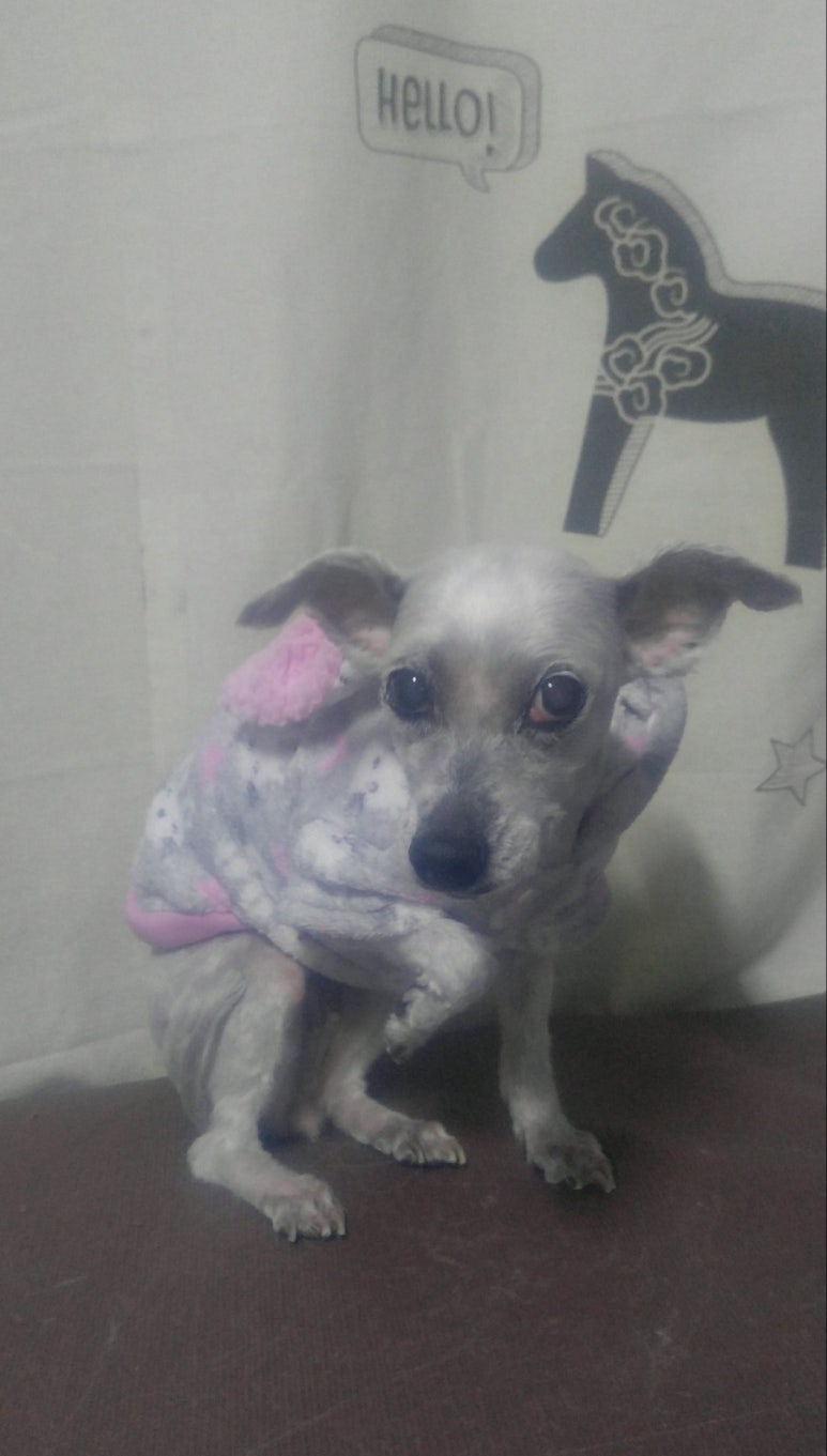 대성사우나 미용실 이미지