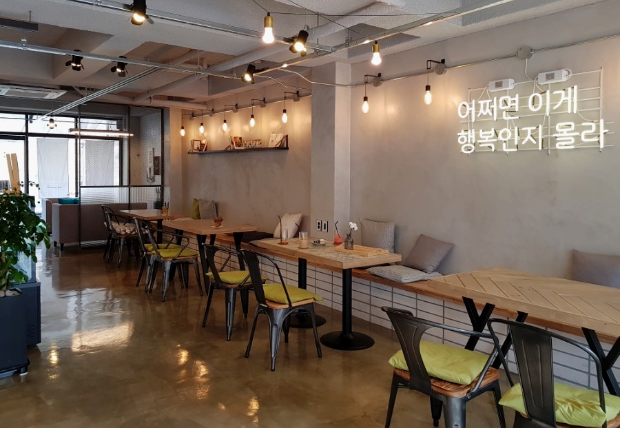 별빛에반하다 이미지
