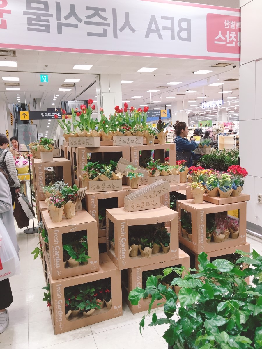 O.Kmart 이미지