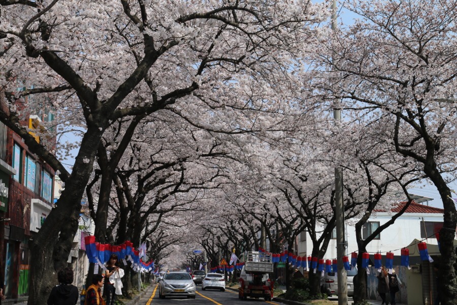 cu제주전농로점 이미지