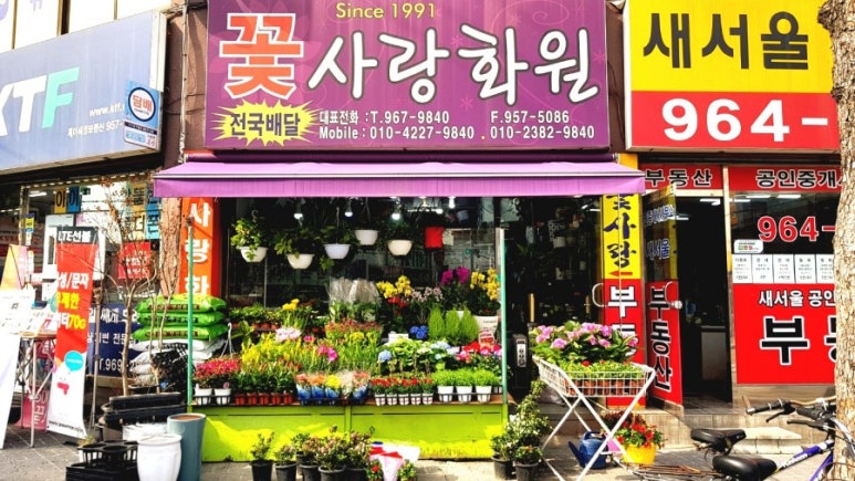 꽃사랑 이미지