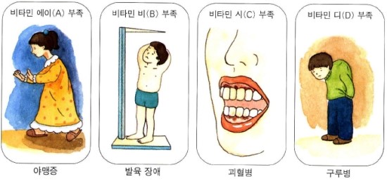 비타민독서실 이미지