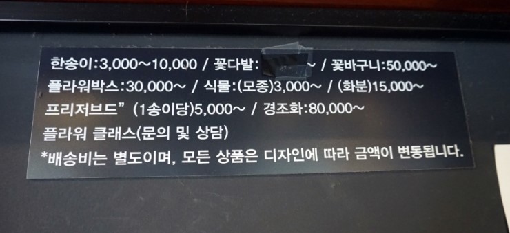 디블름 이미지