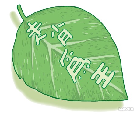 백의민족 이미지