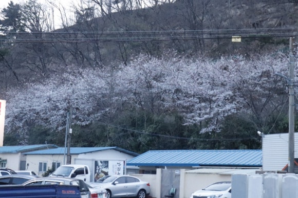 나루끝중고 이미지