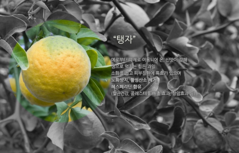 왕과비 이미지