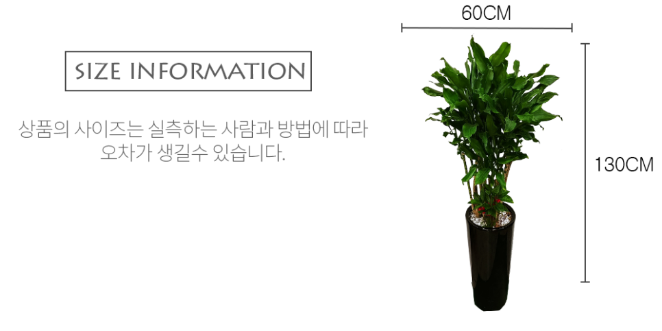 남양꽃집힐링플라워 이미지