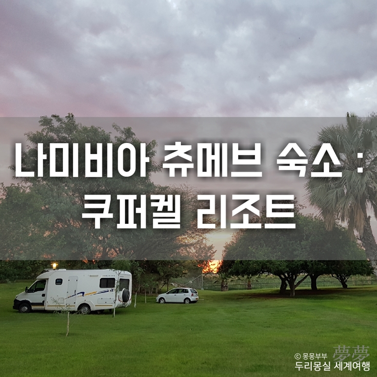 부부츄 이미지