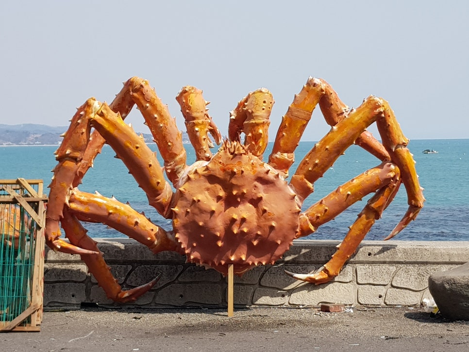 금이네 집밥 이미지