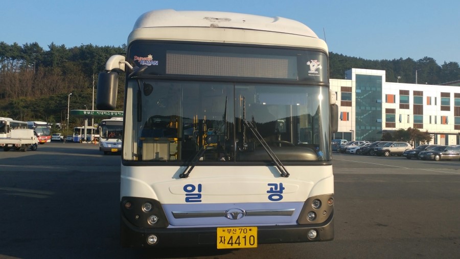 동신스폰지 이미지