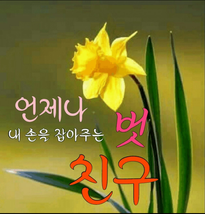 신용인력개발 이미지