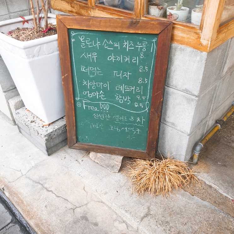 팰럿 이미지