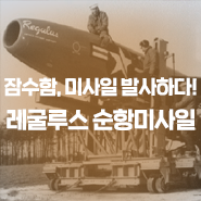 레굴루스(Regulus) 이미지